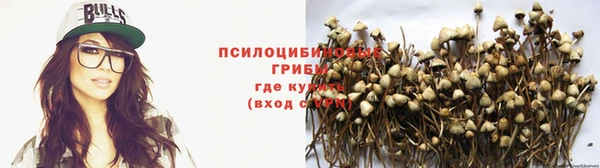 ПСИЛОЦИБИНОВЫЕ ГРИБЫ Алексин