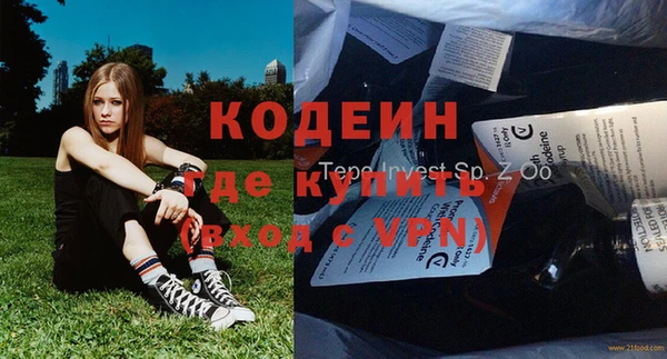 ПСИЛОЦИБИНОВЫЕ ГРИБЫ Алексин