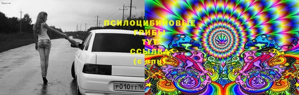 ешки Алексеевка