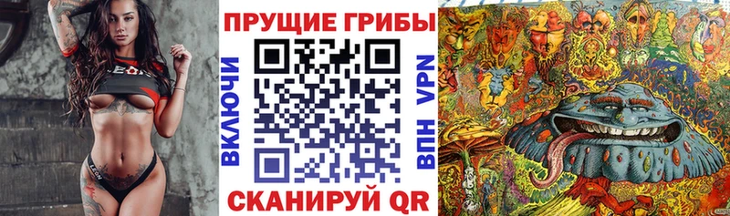 Галлюциногенные грибы Psilocybe  это клад  Соликамск 